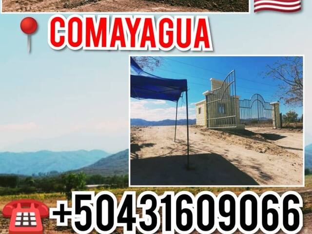 #162 - TERRENO para Compra en Comayagua - Comayagua